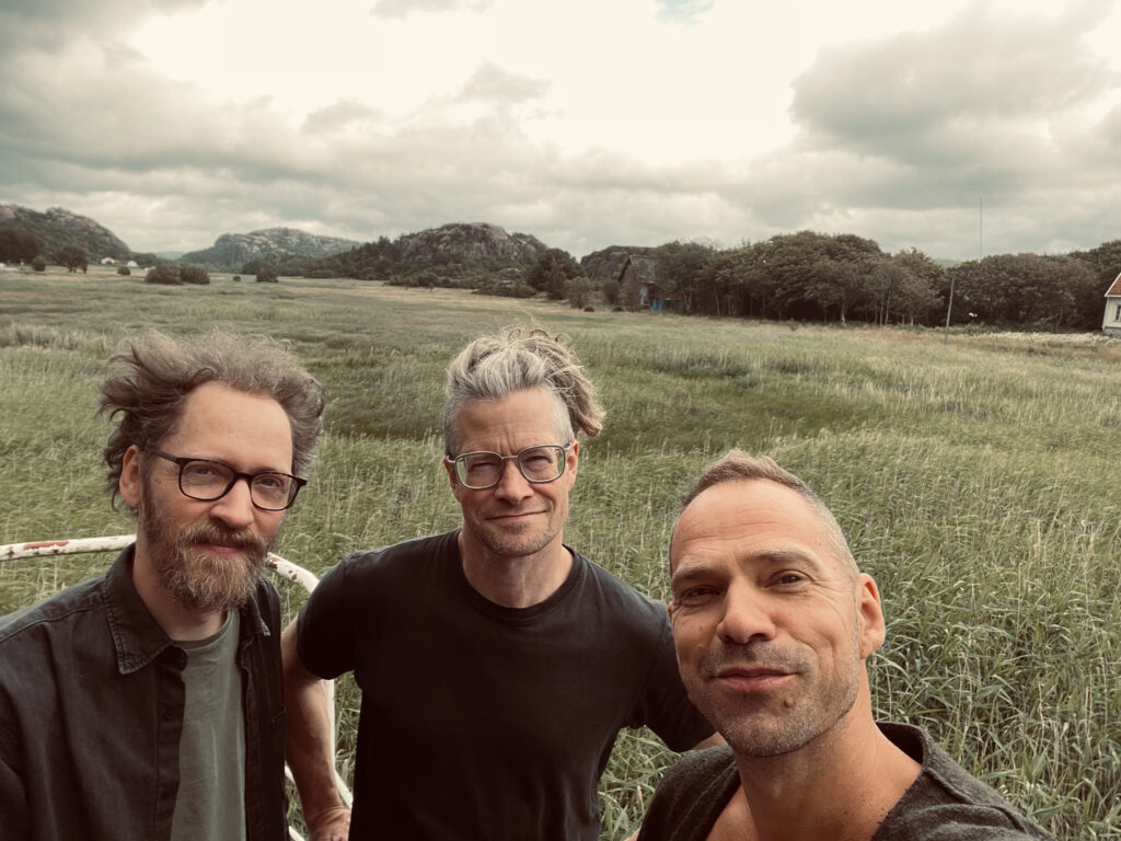 Bottna dub trio bandbild